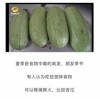吃瓜网官网免费观看 吃瓜网官网,免费观看，畅享娱乐盛宴