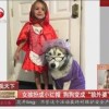 国外福利新闻视频在线看,通过视频了解各国福利新闻